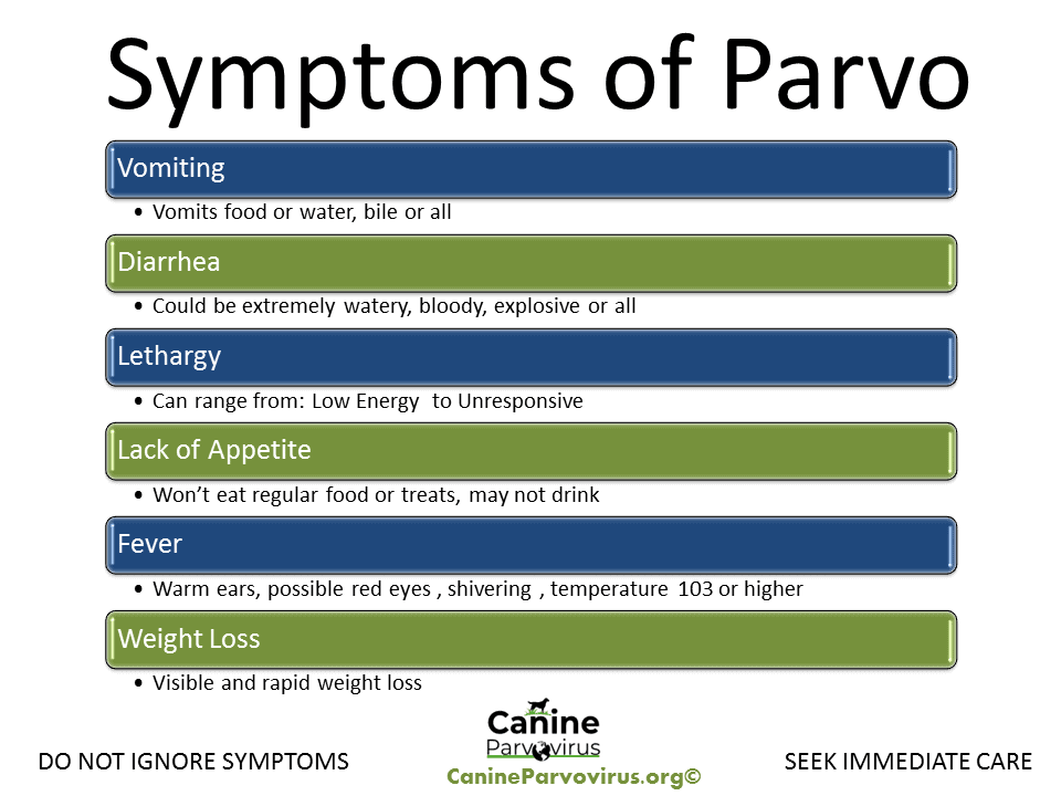 what are the signs of parvo in a puppy