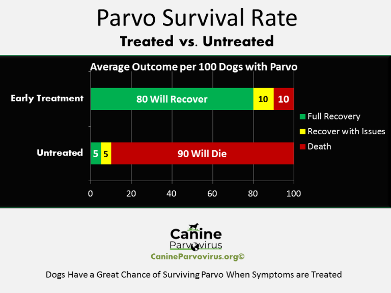 Survival Rate Canine Parvovirus Treated VS. Untreated (Diagram)