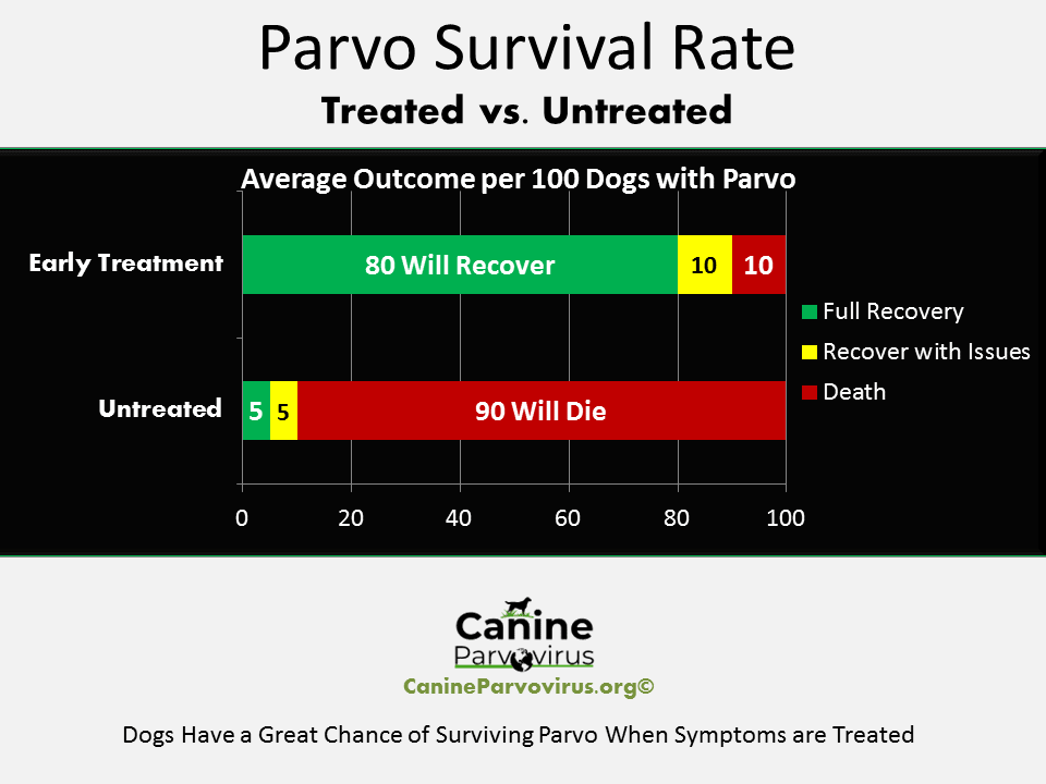 Image of canine parvovirus survival rates. compares dogs with parvo that get treated vs. dogs with parvo that go untreated. Parvo treatment success rate is quite high and this graphic shows.