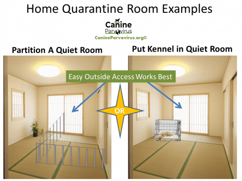 image shows isolation room same between a cage and a dog pen when isolating a dog with parvo.