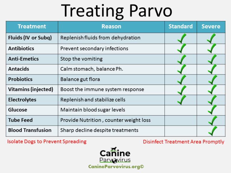 How to Treat Parvo: How Medical Professionals Treat Parvo (Chart)