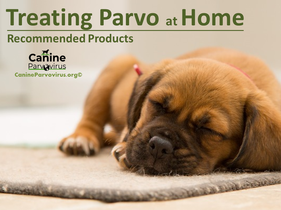 Recommended Products for Treating Parvo at Home Home Guide